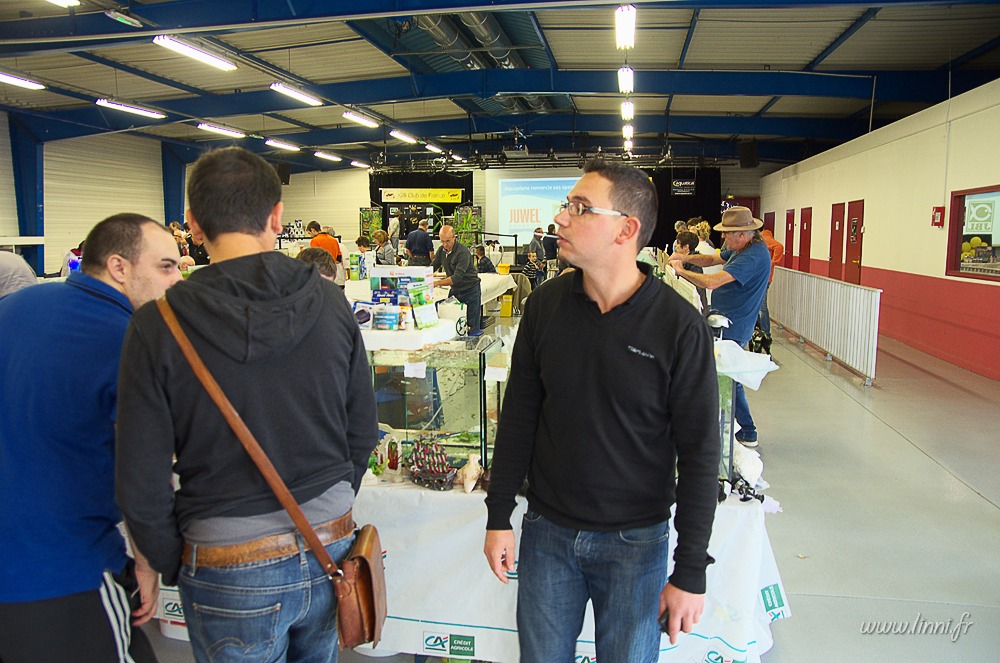 Bourse aquariophile de Nantes (44), 11 octobre 2015 AQUA44 2015 050